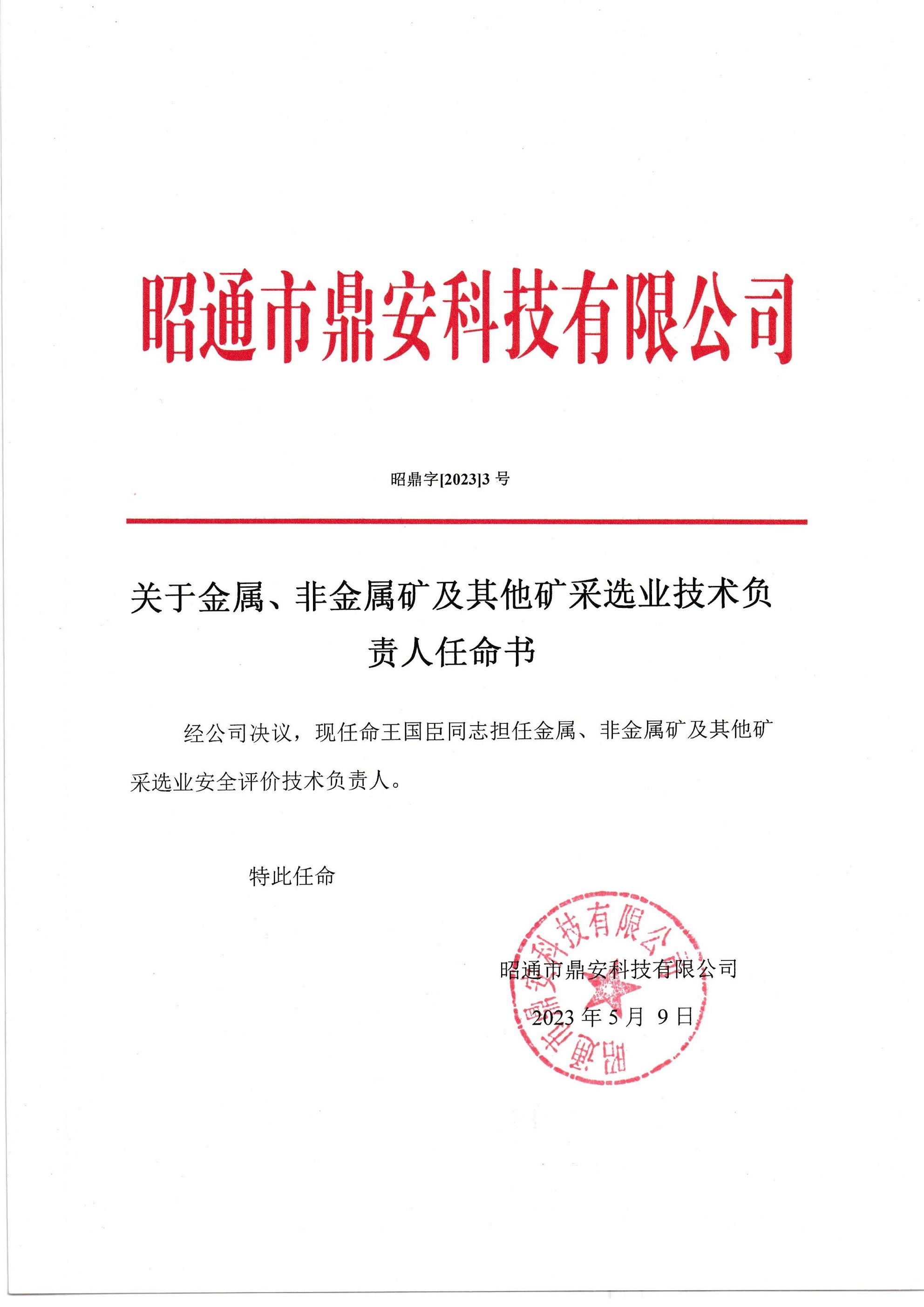 關于金屬、非金屬礦及其他礦采選業(yè)技術負責人任命書-王國臣_2.jpg
